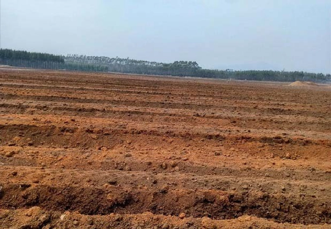 华北土壤矿物组成有什么特点？ | 植物问答