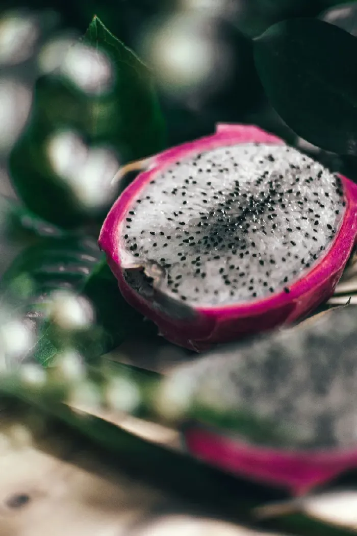 火龙果家庭种植方法 | 植物问答