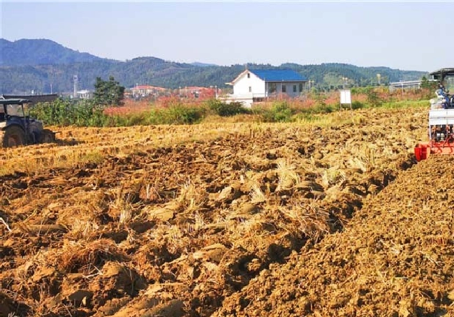 东北土壤矿物组成有什么特点？ | 植物问答