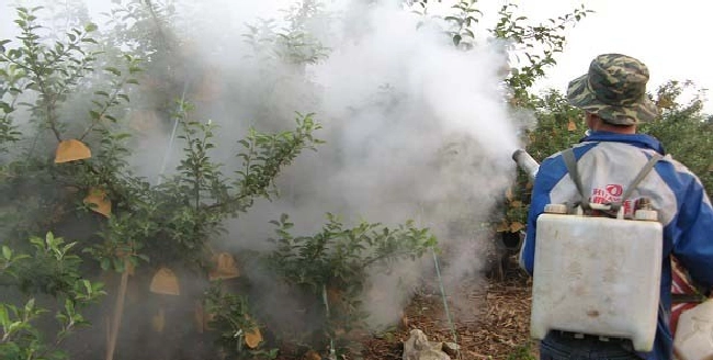 我国的植保方针是什么？ | 植物问答