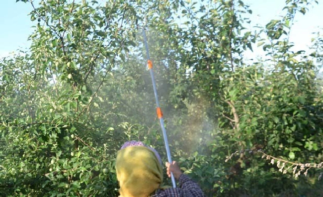 什么是农作物有害生物综合防治？ | 植物问答