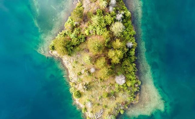 阳台怎么种草莓？家庭阳台盆栽草莓种植方法要点 | 植物问答