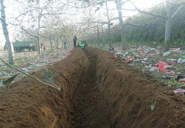 什么是土壤？ | 植物问答