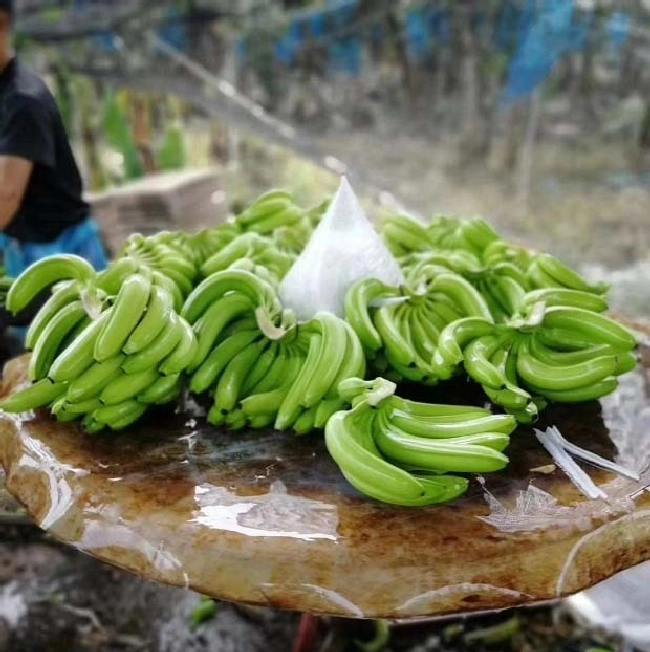 为什么要做好农产品农药残留检测工作？ | 植物问答